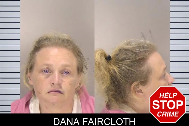 Dana Faircloth mugshot