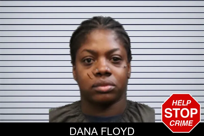 Dana Floyd mugshot
