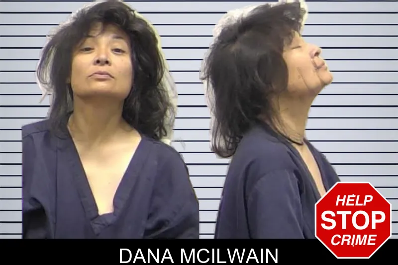 Dana McIlwain mugshot