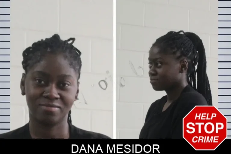 Dana Mesidor mugshot – Houston County , Georgia Dana Mesidor
