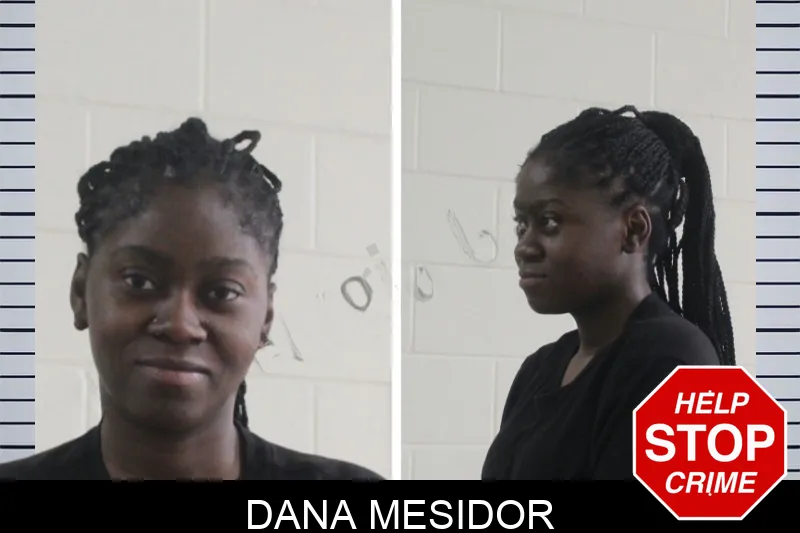 Dana Mesidor mugshot – Houston County , Georgia Dana Mesidor mugshot