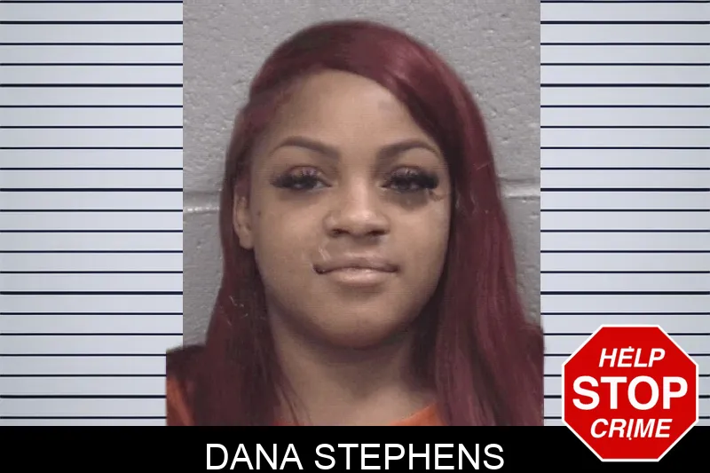 Dana Stephens mugshot