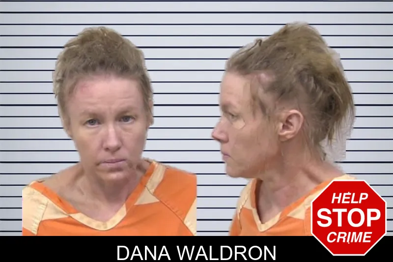 Dana Waldron mugshot