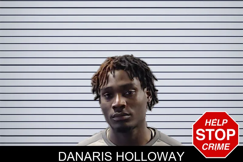 Danaris Holloway mugshot