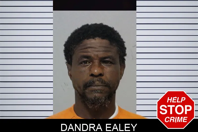 Dandra Ealey mugshot