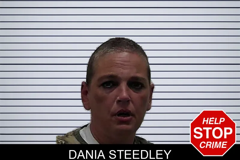 Dania Steedley mugshot