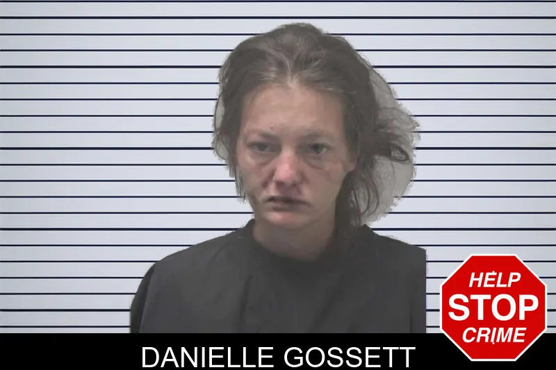 Danielle Gossett mugshot – Coweta County , Georgia Danielle Gossett mugshot