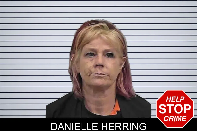Danielle Herring mugshot