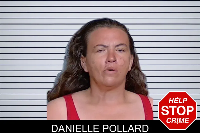 Danielle Pollard mugshot
