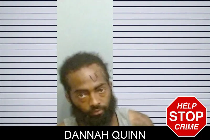 Dannah Quinn mugshot