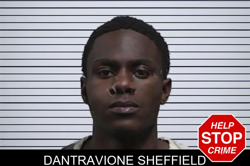 Dantravione Sheffield mugshot – Tift County , Georgia Dantravione Sheffield mugshot