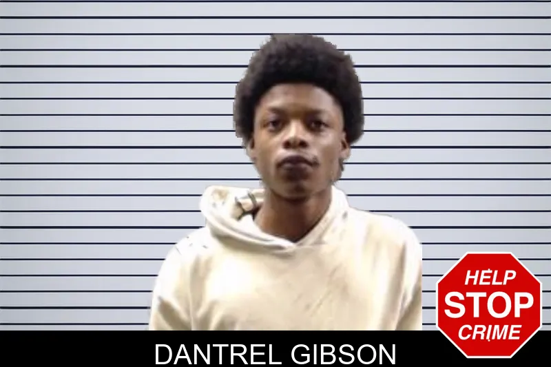 Dantrel Gibson mugshot