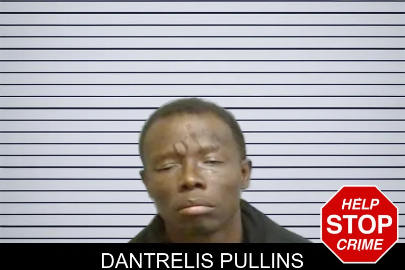 Dantrelis Pullins mugshot – Fulton County , Georgia Dantrelis Pullins mugshot