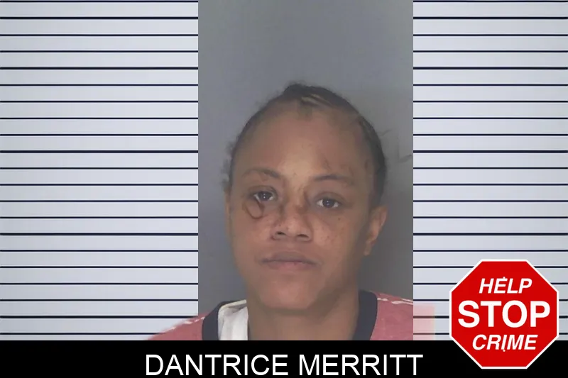 Dantrice Merritt mugshot