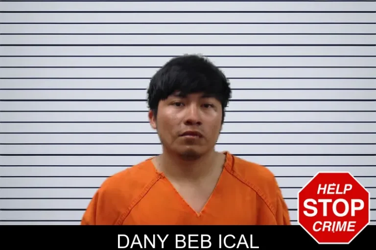 Dany Beb Ical mugshot – Pickens County , Georgia Dany Beb Ical