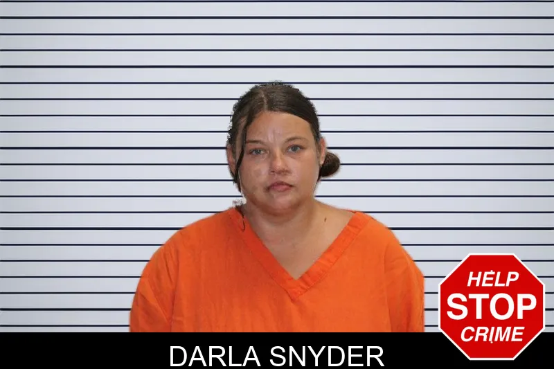 Darla Snyder mugshot