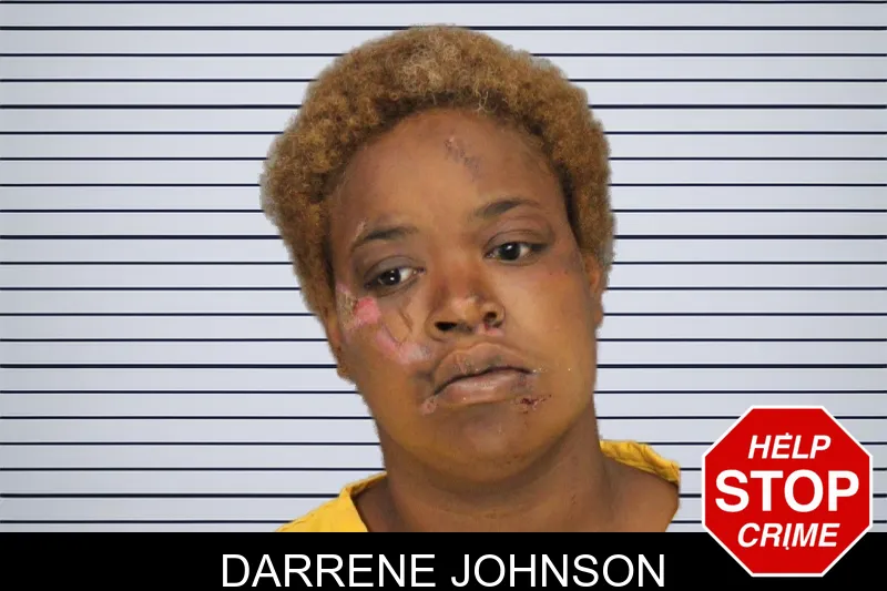 Darrene Johnson mugshot – Cobb County , Georgia Darrene Johnson mugshot