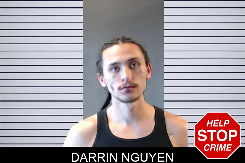Darrin Nguyen mugshot