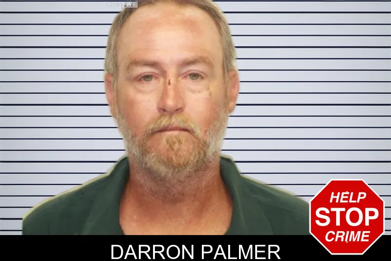 Darron Palmer mugshot