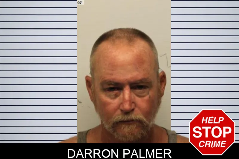 Darron Palmer mugshot