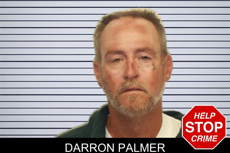 Darron Palmer mugshot