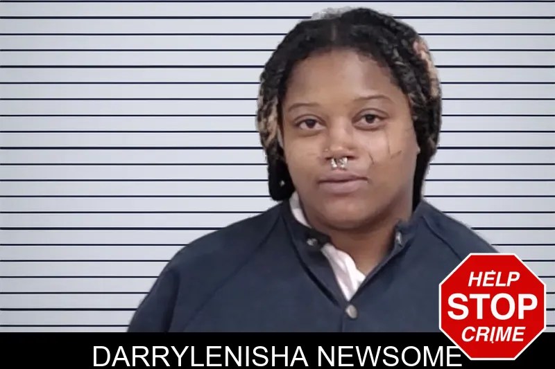 Darrylenisha Newsome mugshot