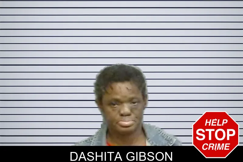 Dashita Gibson mugshot