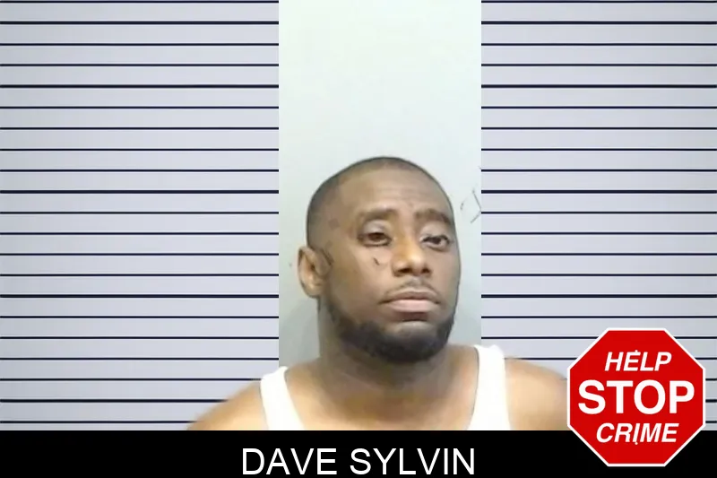Dave Sylvin mugshot – Fulton County , Georgia Dave Sylvin mugshot