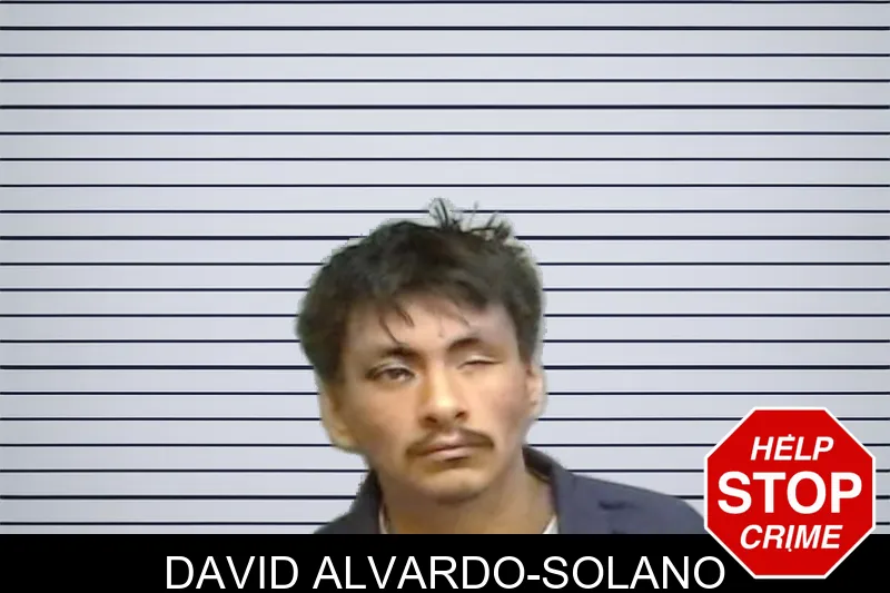 David Alvardo-Solano mugshot