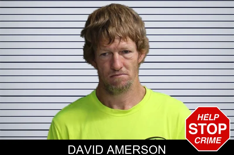 David Amerson mugshot