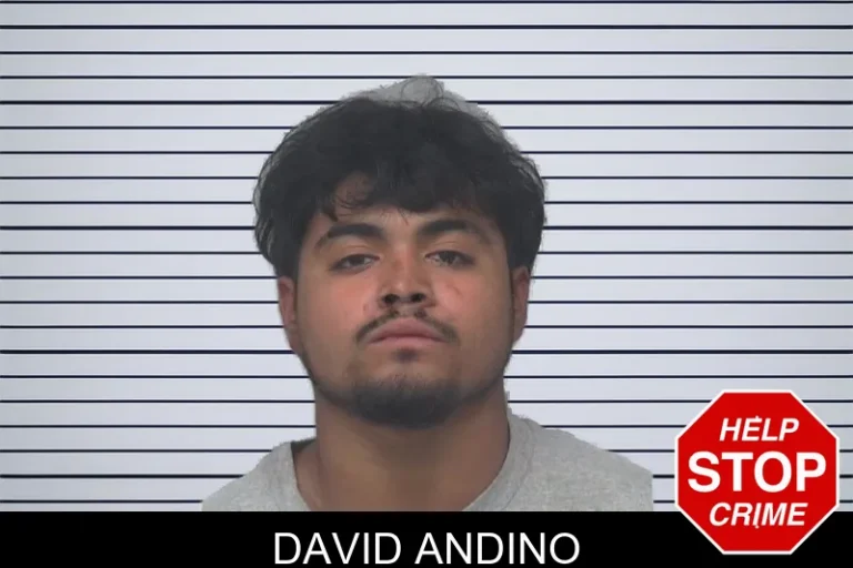 David Andino mugshot – Gwinnett County , Georgia David Andino