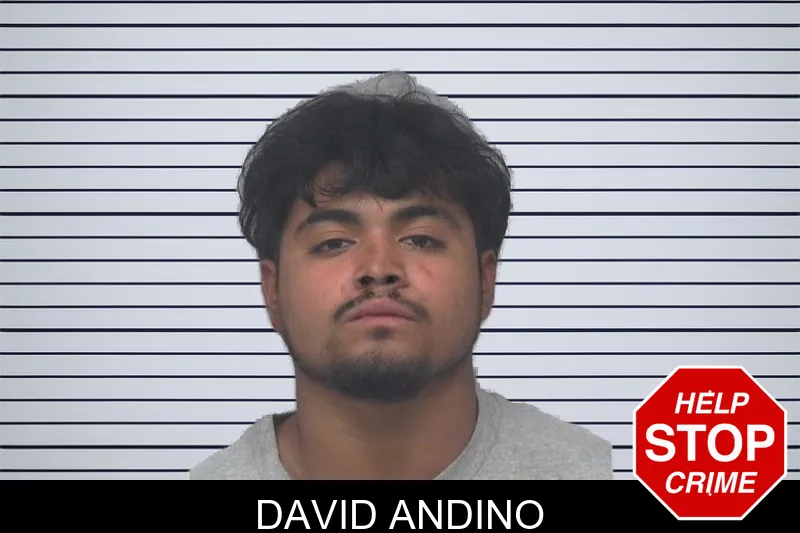 David Andino mugshot – Gwinnett County , Georgia David Andino mugshot