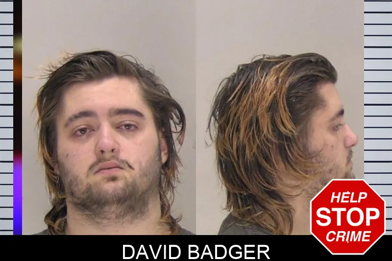 David Badger mugshot