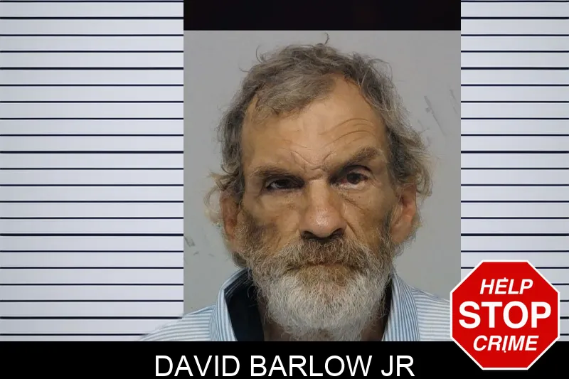 David Barlow Jr mugshot