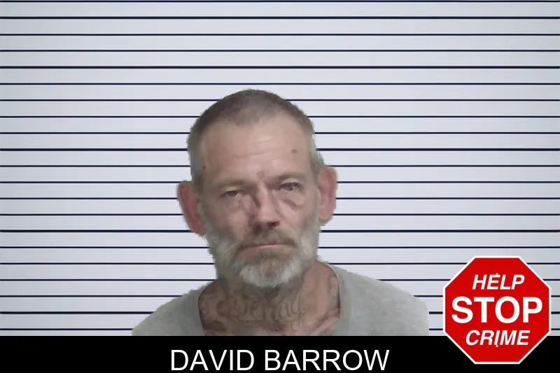 David Barrow mugshot – Wayne County , Georgia David Barrow mugshot