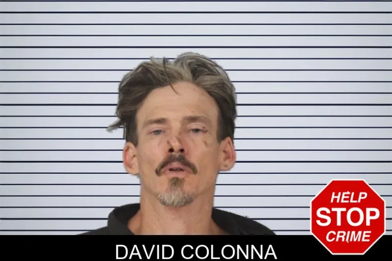 David Colonna mugshot – Mcintosh County , Georgia David Colonna