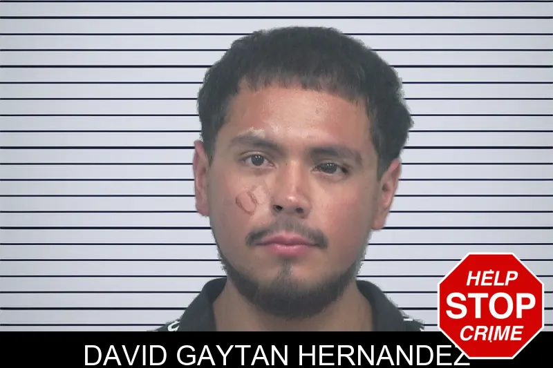 David Gaytan Hernandez mugshot