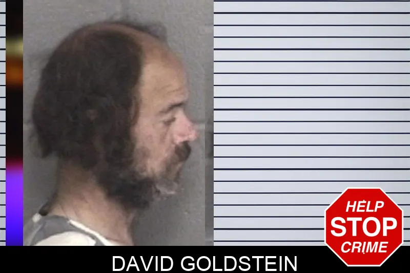 David Goldstein mugshot – Barrow County , Georgia David Goldstein mugshot