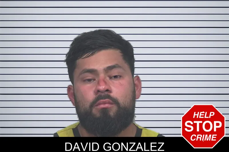 David Gonzalez mugshot – Gwinnett County , Georgia David Gonzalez mugshot