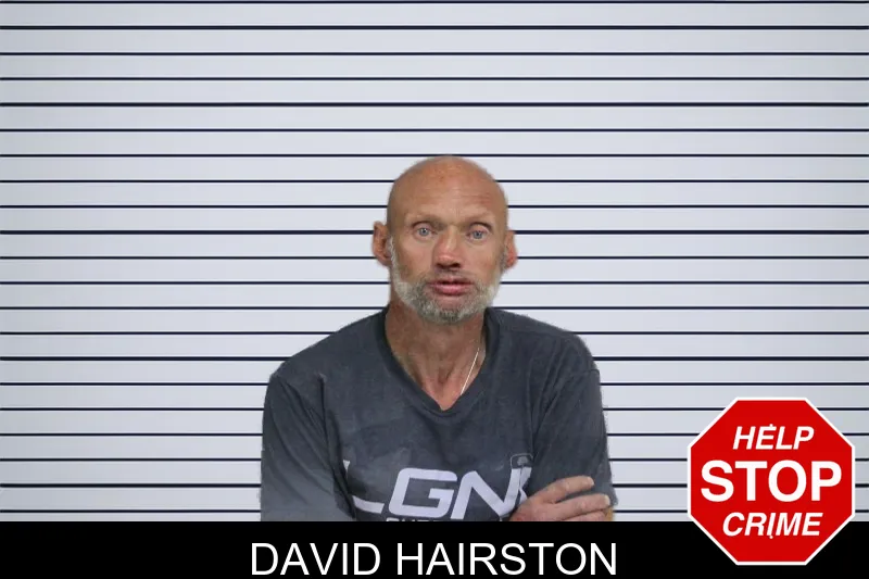 David Hairston mugshot