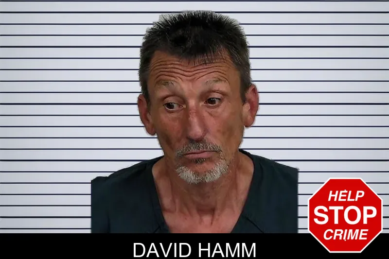 David Hamm mugshot – Jeff Davis County , Georgia David Hamm mugshot