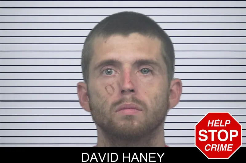 David Haney mugshot
