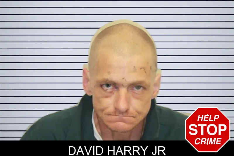 David Harry Jr mugshot