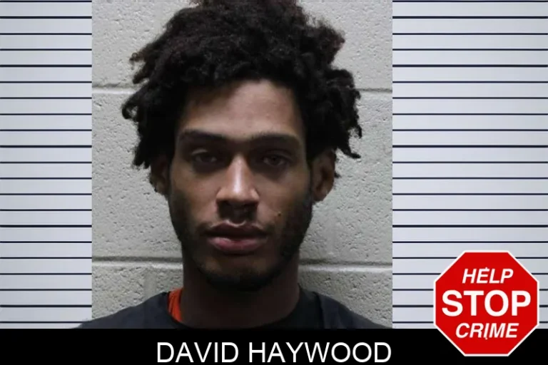 David Haywood