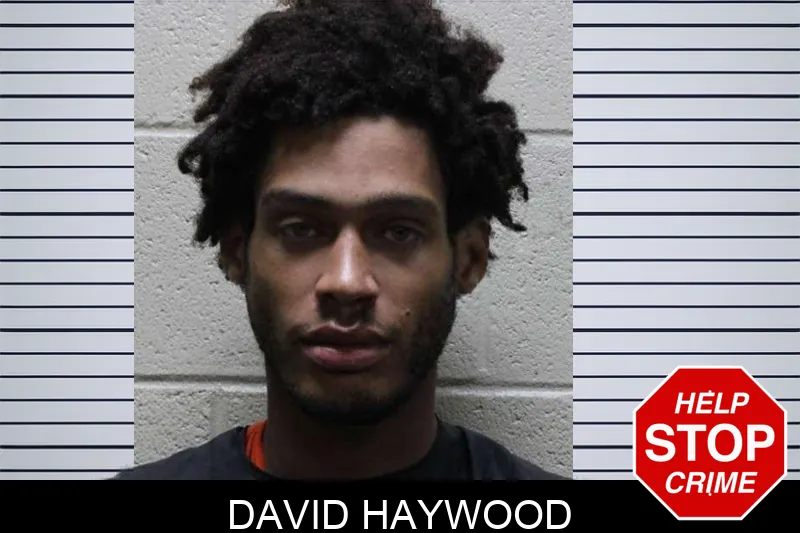 David Haywood mugshot