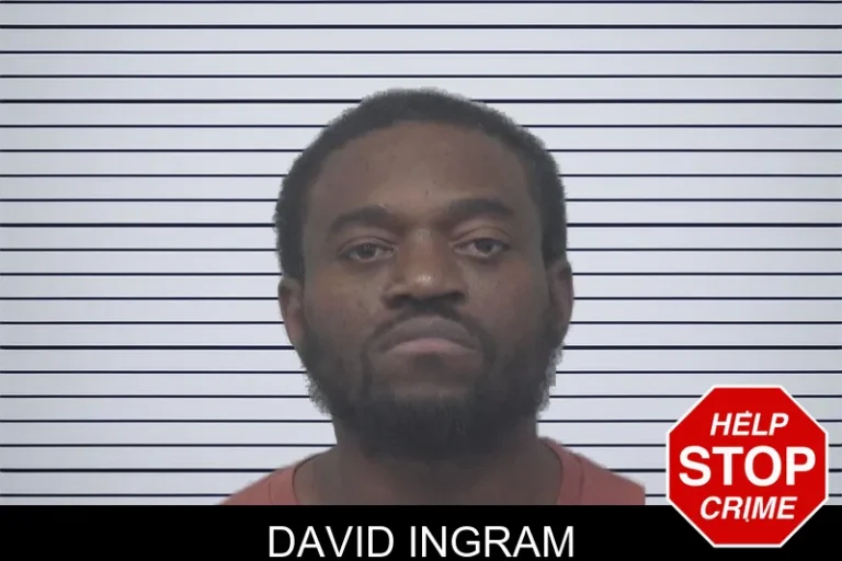 David Ingram