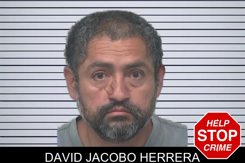 David Jacobo Herrera mugshot
