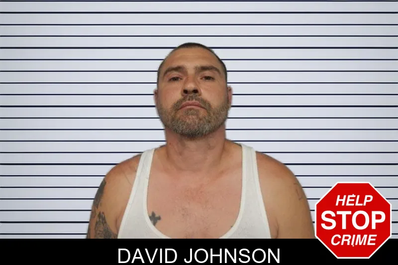 David Johnson mugshot – Hall County , Georgia David Johnson mugshot