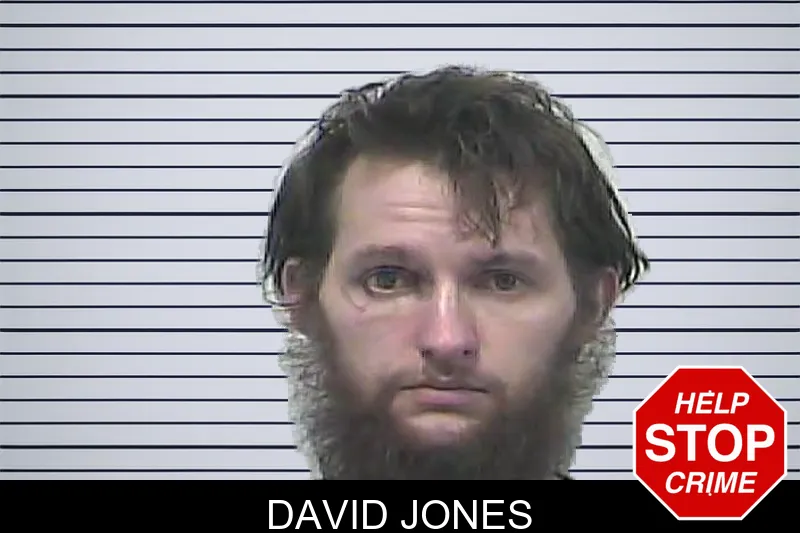 David Jones mugshot – Dawson County , Georgia David Jones mugshot