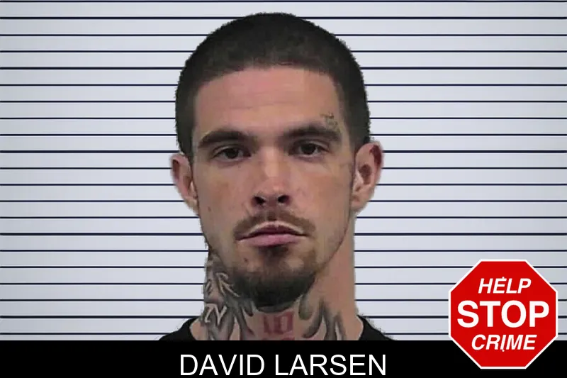 David Larsen mugshot